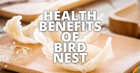 7 Breathtaking Benefits of Bird Nests