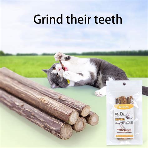 7 Dental Treats for Cats: A Purr-fect Solution for Healthy Teeth