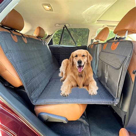 7 Dog Seat Extender FAQs and Answers You Should Know in 2025