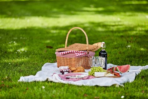 7 Epic Picnic Essentials for an Unforgettable 2025 Summer