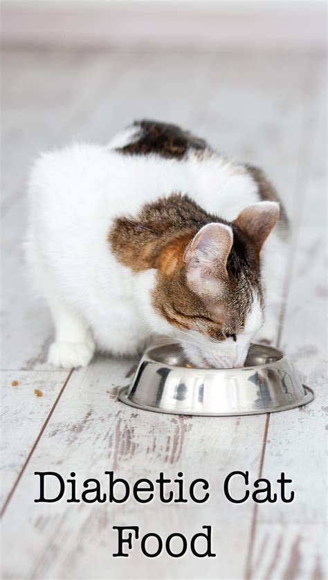 7 Essential Diabetic Food for Cats: A Detailed Guide