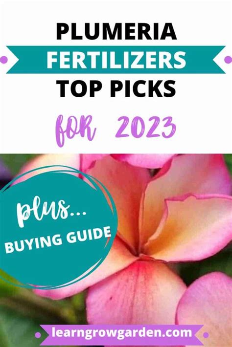 7 Essential Fertilizers for Plumeria: A Comprehensive Guide