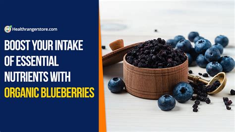 7 Essential Nutrients for Organic Blueberries