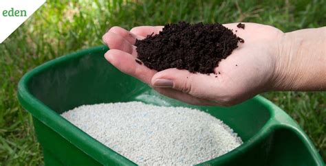 7 Essential Starter Fertilizers for Bountiful Gardens