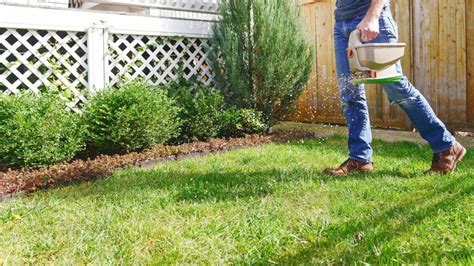 7 Essential Steps for Winterizing Fertilizer