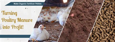 7 Essential Steps to Fuel Your Farm with 50% More Profits Using Poultry Manure Pellets Fertilizer