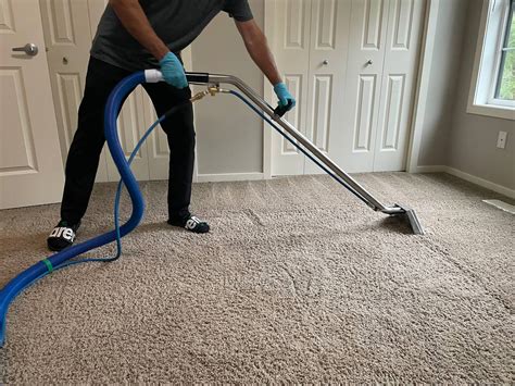 7 Essential Tips for Choosing the Right Carpet Washing Service