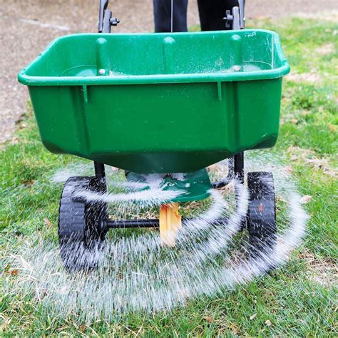 7 Exceptional Grass Fertilizer Companies to Revamp Your Lawn