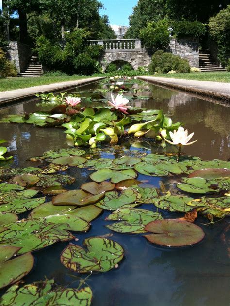 7 Extraordinary Botanical Gardens in New Jersey Not to Miss