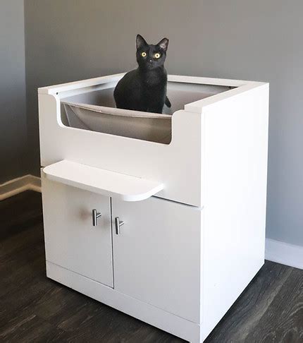 7 Extraordinary Litter Boxes for Cats That Will Elevate Your Feline's Purr-sonality