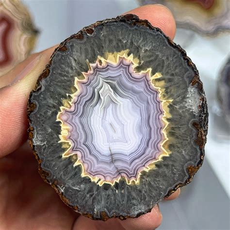 7 Flowering Agate Facts That Will Blow Your Mind