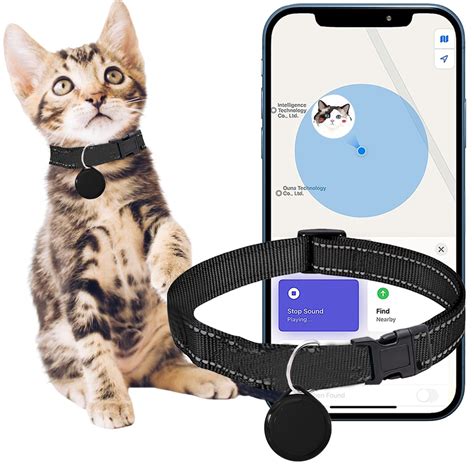 7 GPS Trackers for Cats That Give You Peace of Mind