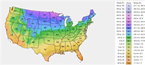 7 Growing Zones in New Jersey: A Comprehensive Guide