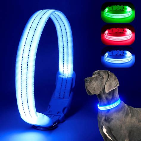 7 LED Dog Collars That Will Light Up Your Night Walks