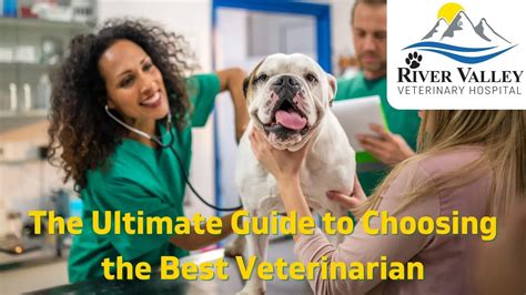 7 Must-Know Essentials for Choosing the Best Veterinarian in Fort Smith, AR