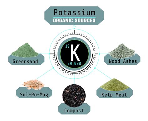 7 Potassium Fertilizer Organic Sources to Boost Your Plant's Health