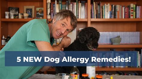 7 Proven Cures for Dog Allergies