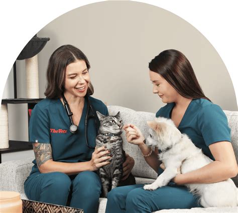 7 Reasons Why Vet House Calls Might Be the Best Thing Ever