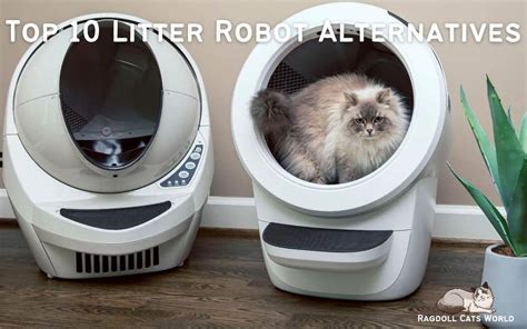 7 Robot Litter Boxes VS Scooping: The Green Choice for 2025