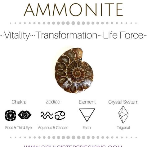 7 Spiritual Meanings of Ammonite Fossils: Unraveling the Ancient Wisdom They Hold