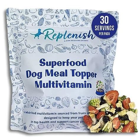 7 Superfood Complete Dog Foods for Optimal Canine Health