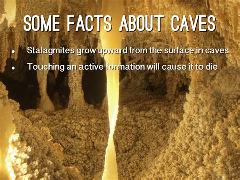 7 Surprising Facts About Cave & Basin National Historic Site