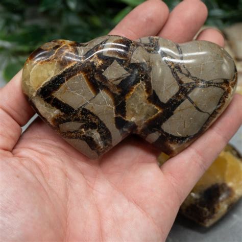 7 Surprising Septarian Crystal Meanings: Unlocking the Path to Growth