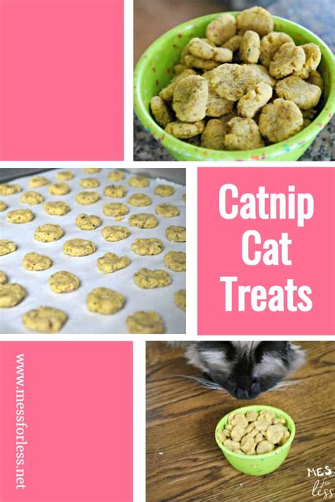 7 Things You Need to Know about Catnip Treats for Cats