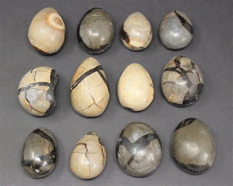 7 Things You Never Knew About Septarian Eggs: Unlocking the Secrets of "Dragon Stones"