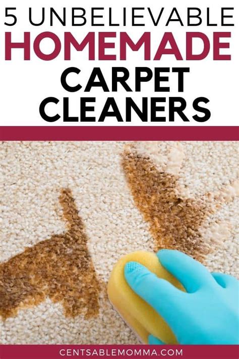 7 Unbelievable Carpet Cleaners for Pets That Will Make Your Home Look Spotless