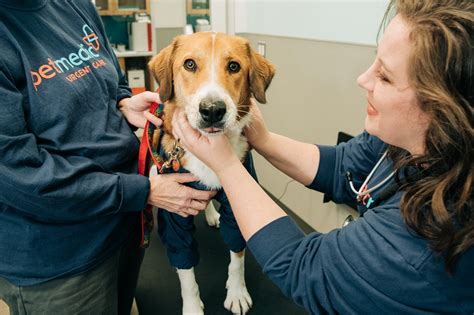 7 Vets Open on Sunday Near Me (Open 24/7) for Urgent Pet Care