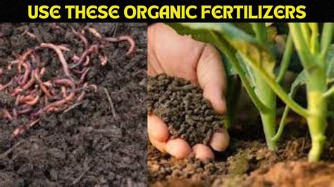 7 Ways Bio Organic Fertilizer Granulator Boosts Crop Yields