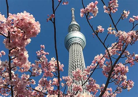 7 Ways to Travel from Tokyo to Osaka in 2025: Expert Guide to Fast, Cheap, and Scenic Options