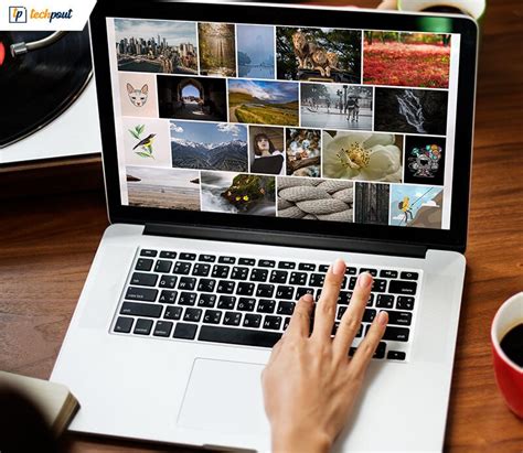 7 Websites for Stock Photos That Will Amplify Your Content