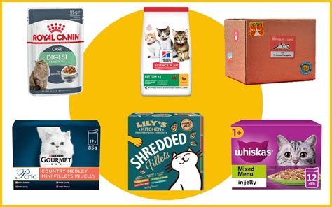 7 Wet Healthy Cat Food Brands to Keep Your Feline Thriving