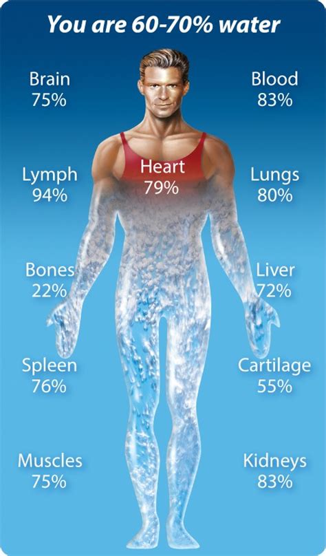 70% of Your Body is Water: Here's What That Means