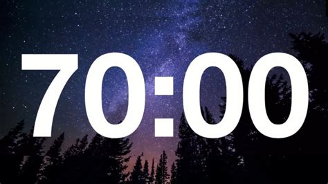 70 minute timer