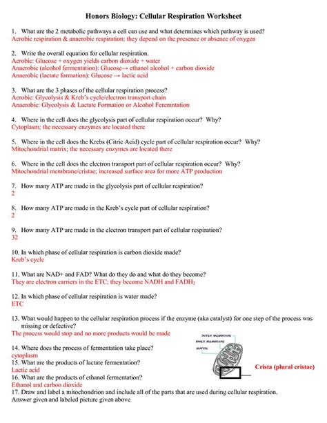 71 life is cellular worksheet answers Kindle Editon