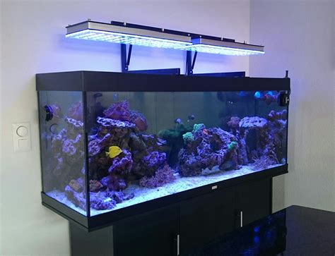 750000-Kelvin LED Aquarium Lights: A Comprehensive Guide