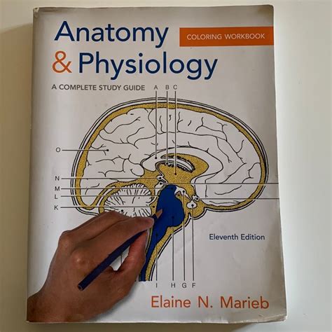 78 Anatomy And Physiology Coloring Workbook Answers Kindle Editon