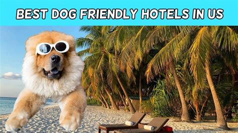 8 Best Milwaukee Hotels that Welcome Your Furry Friends