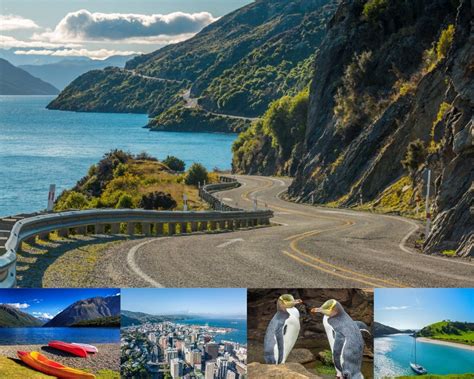 8 Captivating Destinations to Experience the Essence of New Zealand