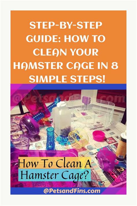 8 Essential Steps to Purchase the Perfect Hamster