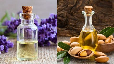 8 Oils for Healthy, Lustrous Hair