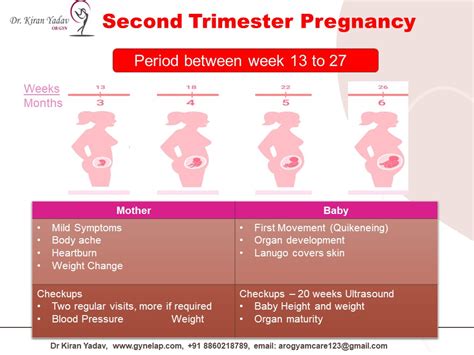 8 Proven Strategies for a Healthy and Balanced Second Trimester in 2025