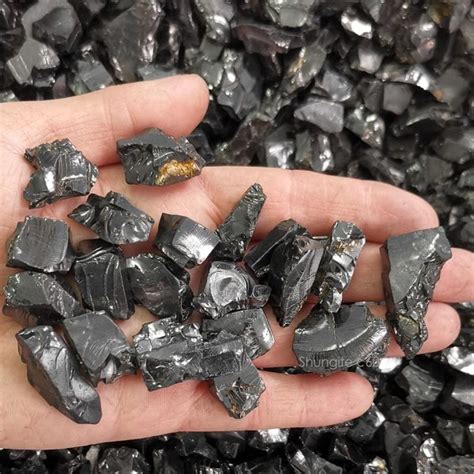 8 Rare Shungite Stones for Sale Now!