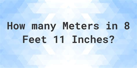 8 feet 11 inches (2.72 meters)