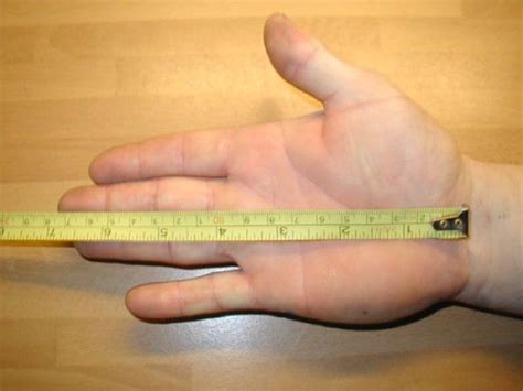 8.5 centimeters—the average length of the human thumb: