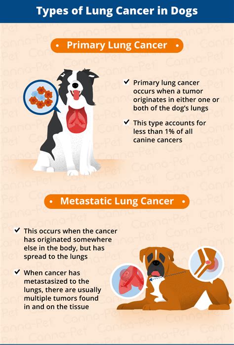 80% of Lung Tumors in Dogs are Malignant: Here's What You Need to Know