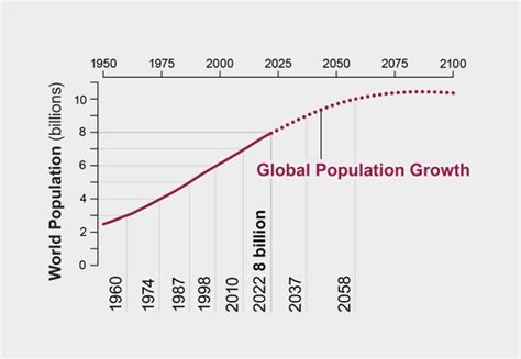 80% of the global population